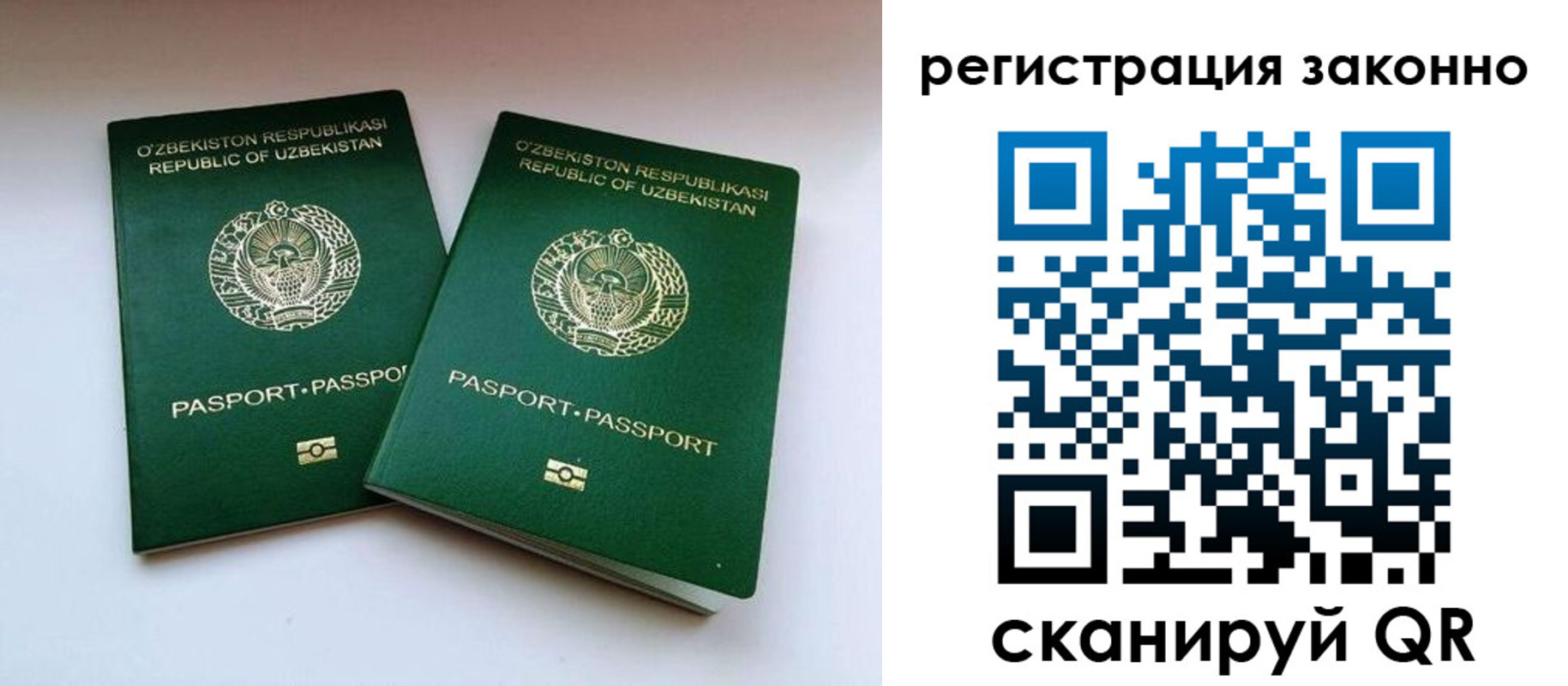 прописка гарантия в Невинномысске